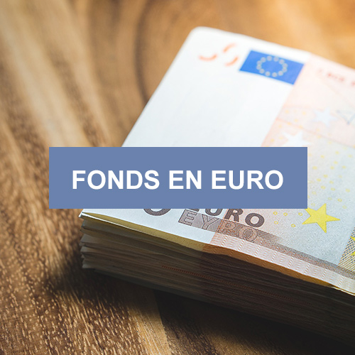 Fonds en euros APICIL EURO GARANTI | Placement financier