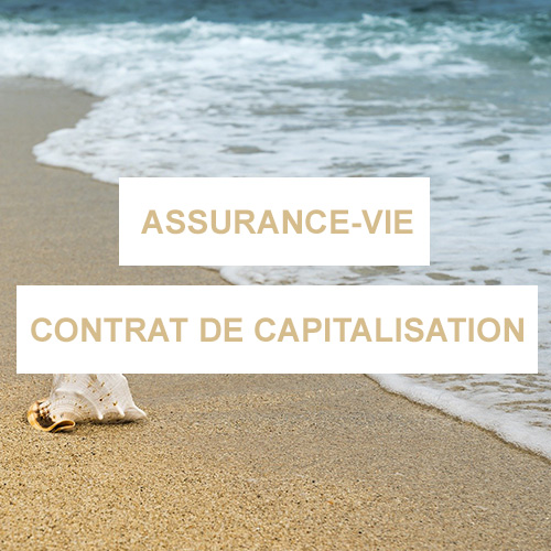 Anticiper sa transmission grâce aux contrats d'assurance-vie et de capitalisation