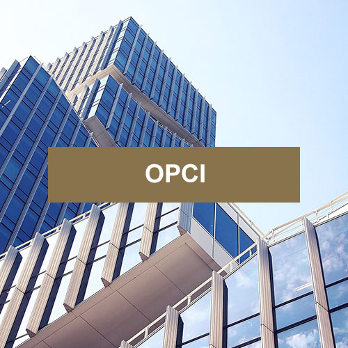 OPCI DYNAPIERRE (PART C) - Placement immobilier