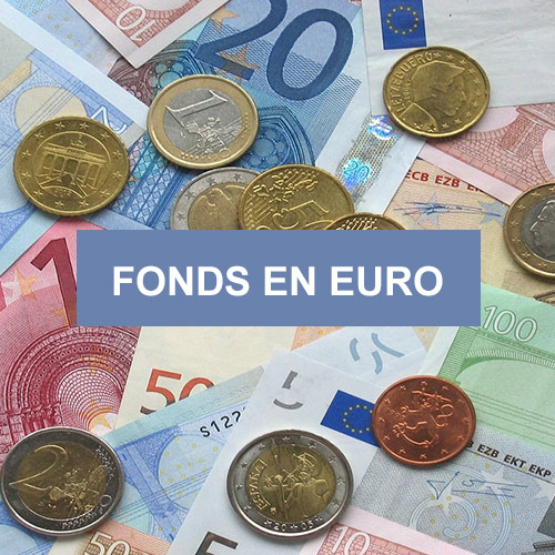 Fonds en euros Euro ACTIF GENERAL SURAVENIR | Placement financier