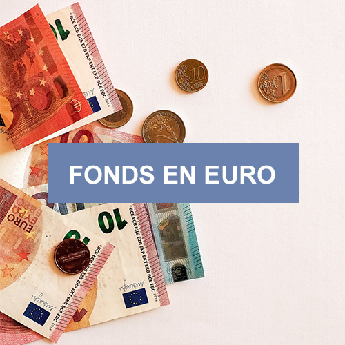 Fonds en euros Euro Allocation Long Terme 2 | Placement financier