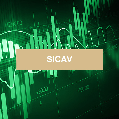 FUNDSMITH EQUITY SICAV T EUR - Placement financier